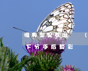 很典型！男友出資買(mǎi)房登記兩人名下，分手后算“彩禮”還是共同投資？
